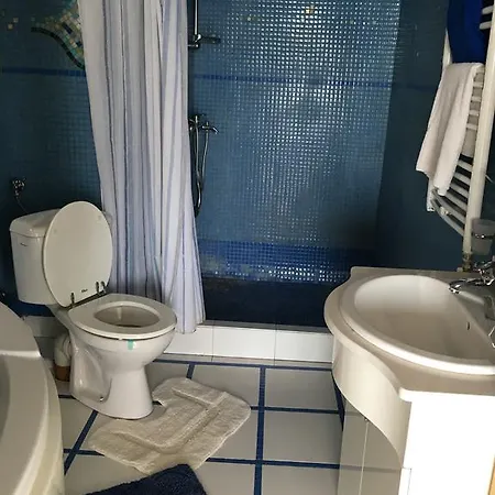Vila Vacanta Vakantiehuis
